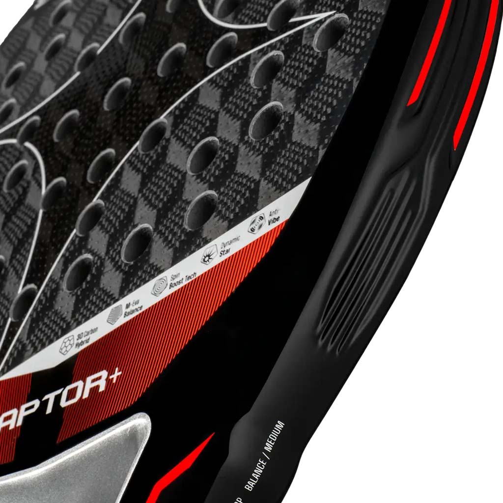 Racchetta Starvie Raptor + 2026